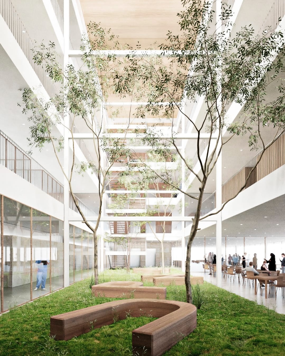 Facultad de Medicina UPNA — 2